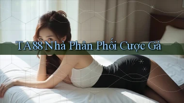 ta88  nhà phân phối cược gà